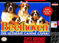 Beethoven - (GO) (Super Nintendo)