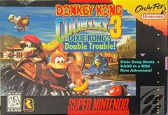 Donkey Kong Country 3 - (GO) (Super Nintendo)