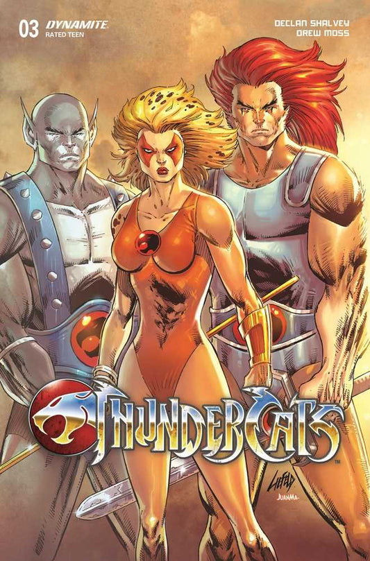 Thundercats #3 Cover V Foc Liefeld Original
