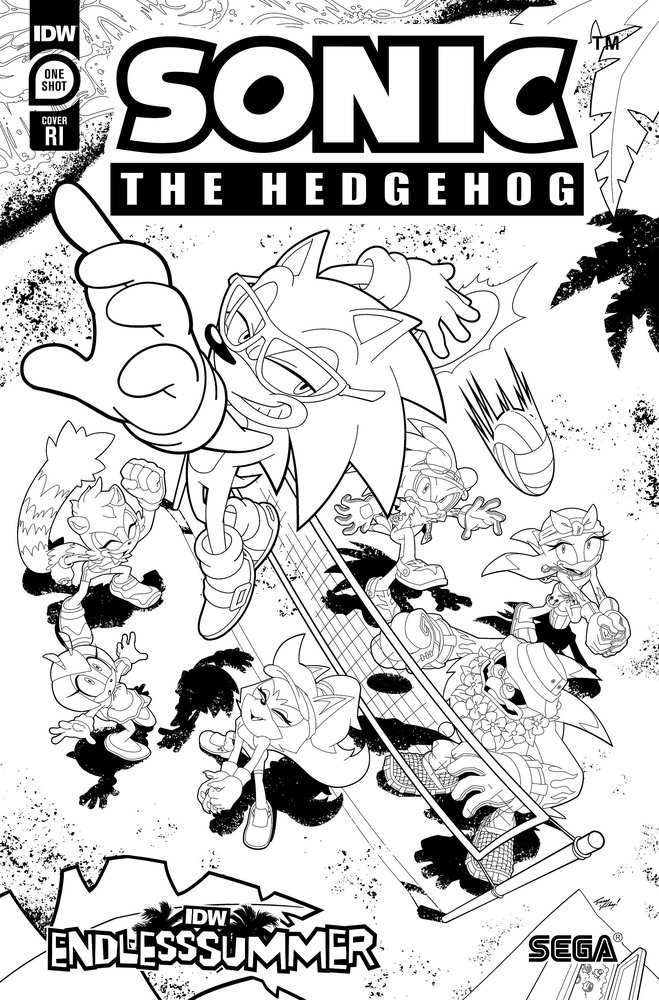 Idw Endless Summer--Sonic The Hedgehog Variant Ri (10) (Coloring Book Variant)